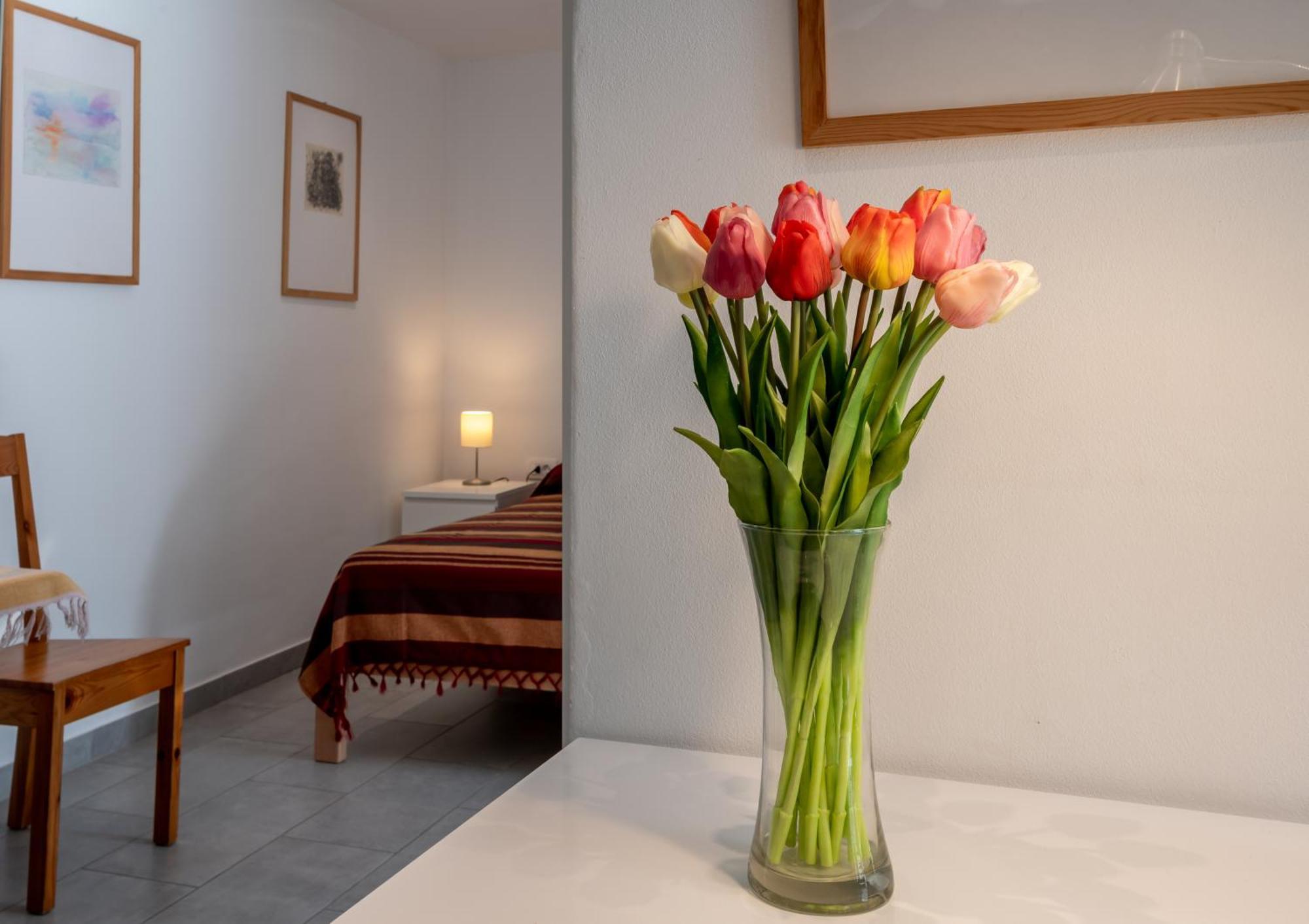 شقة Relax House Rosemary Draga Bašćanska المظهر الخارجي الصورة
